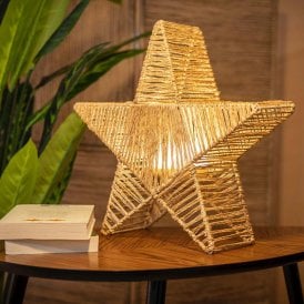 Star LED Feature Light with Remote Control